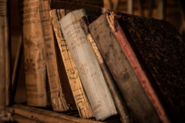 Una marina di libri