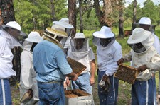 inmate-beekeeper-training