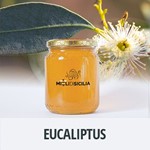 mieli_0004_categoria_eucaliptus