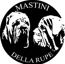 Mastini Napoletani - Allevamento della Rupe