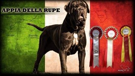 Appia della Rupe