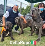 Rocco, Nico e Pacchianella della Rupe